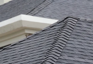 angular view of the roof shingles
